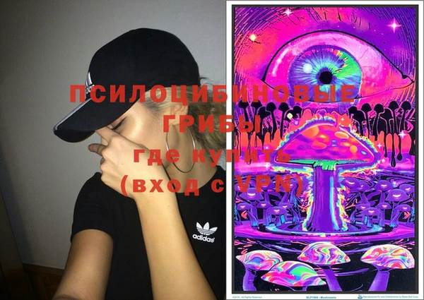 jwh Бородино
